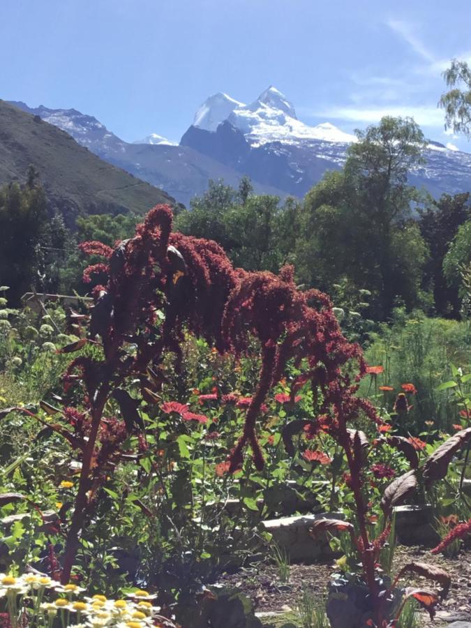 Intirumi Inn Caraz Exteriör bild